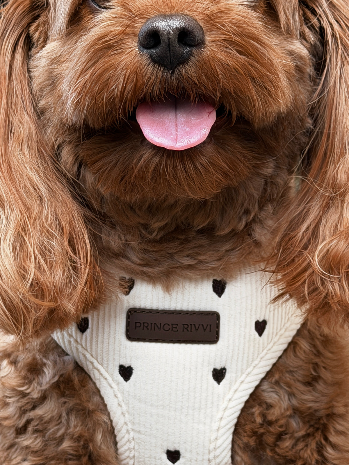 Cream Corduroy Adjustable Harness