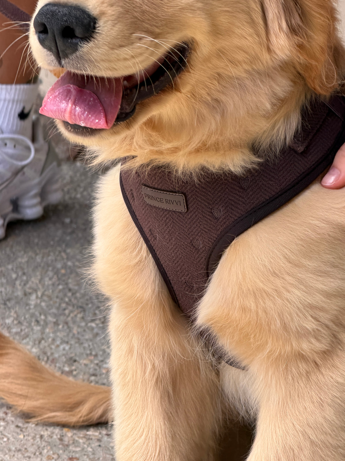 Chocolate Herringbone Adjustable Harness