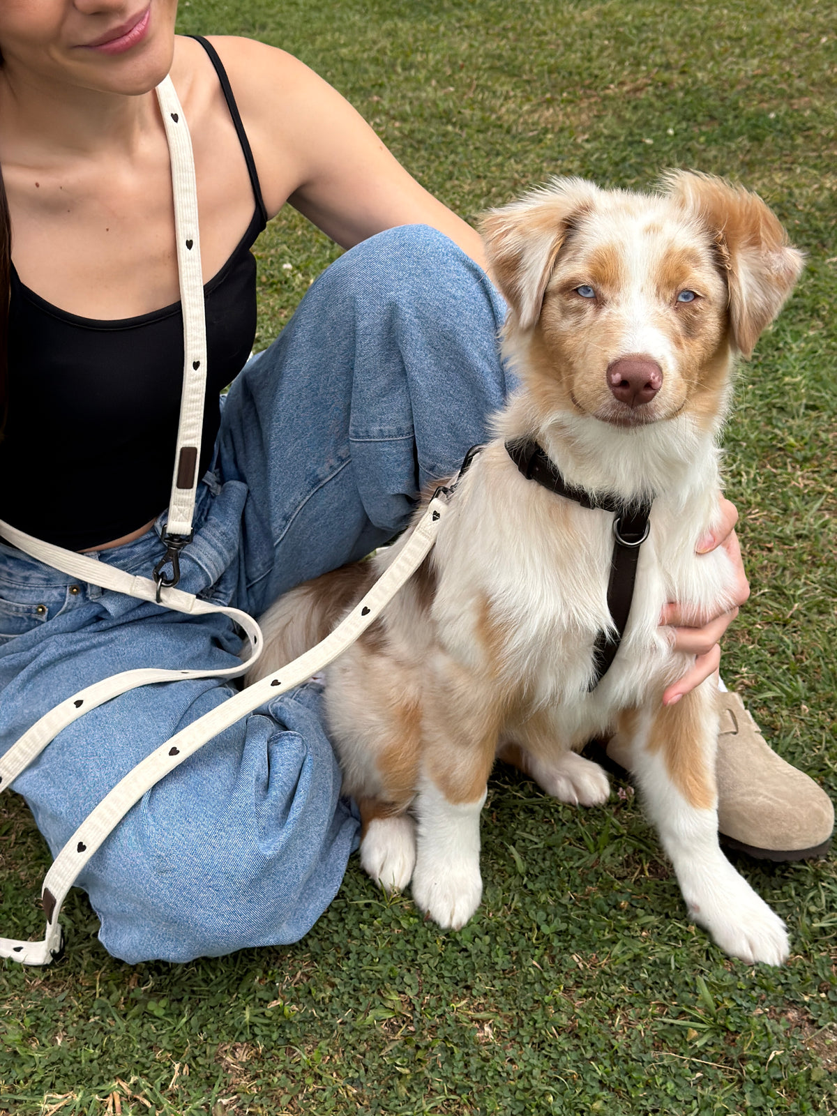 Chocolate Leather Harness