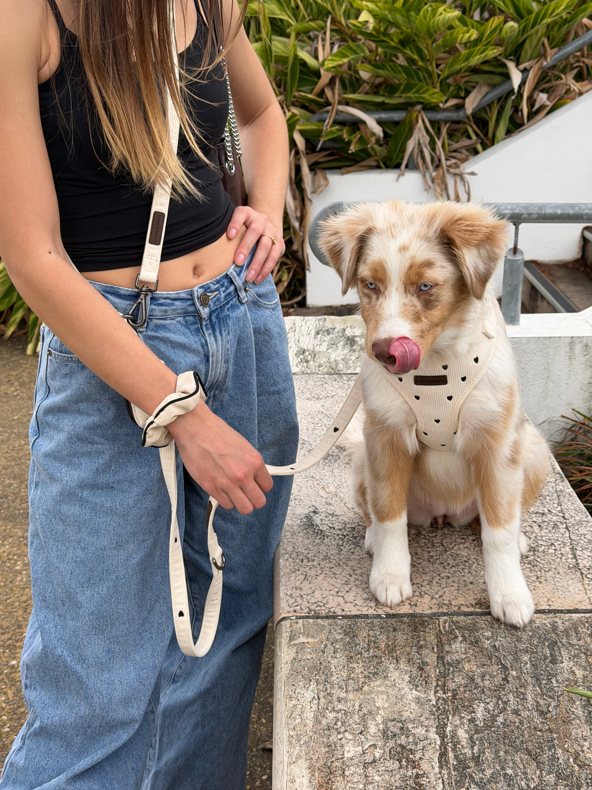 Cream Corduroy Adjustable Harness