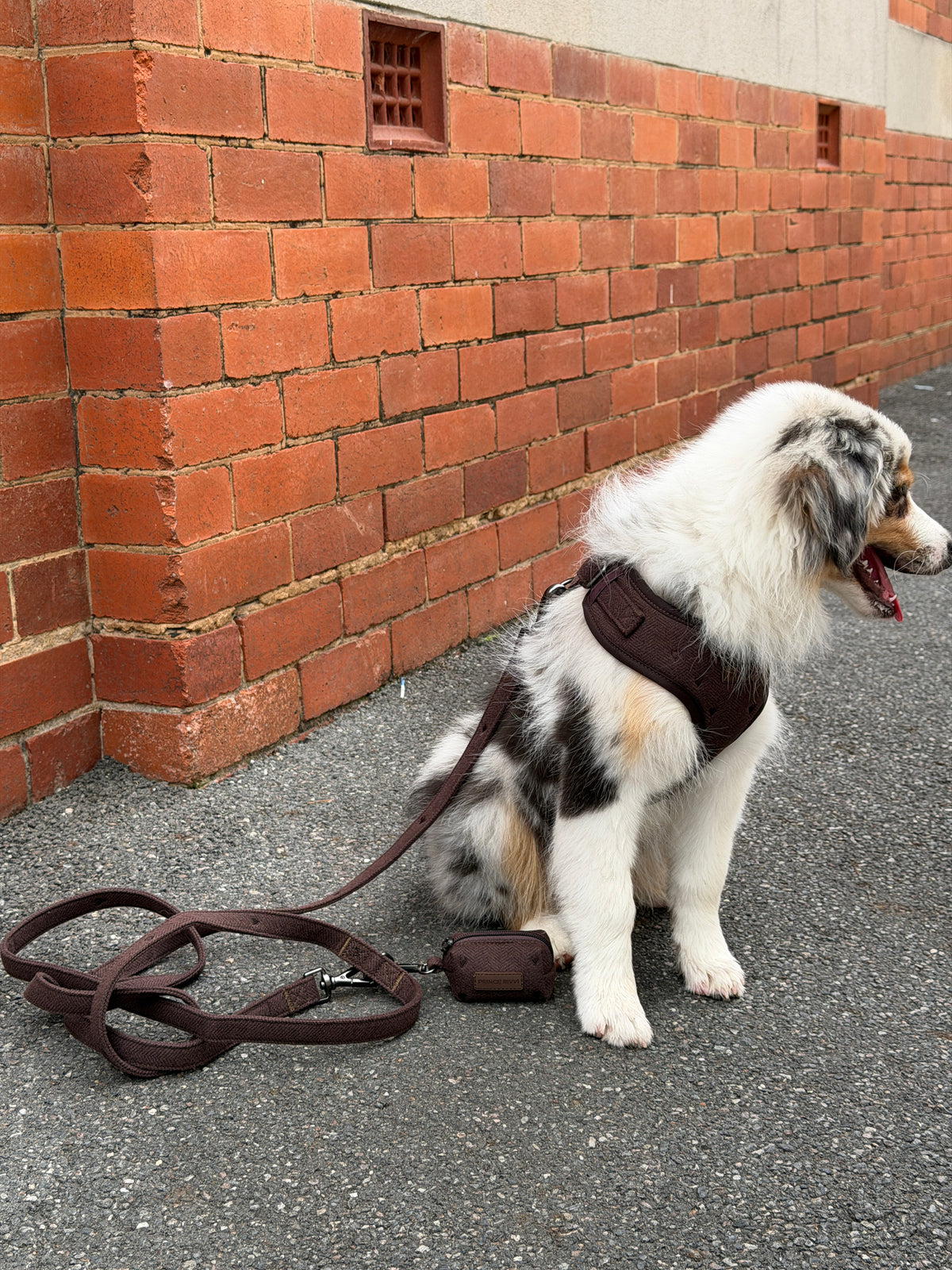 Chocolate Herringbone Crossbody Leash