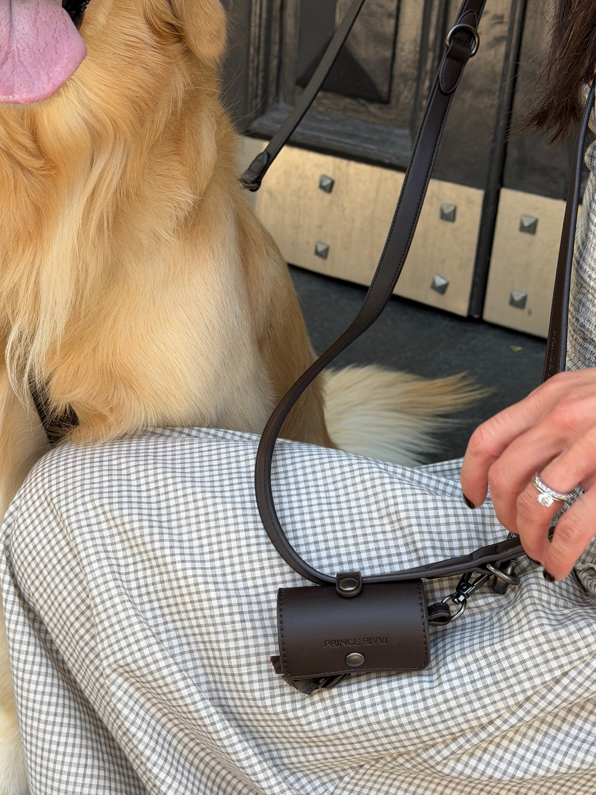 Chocolate Leather Poop Bag Holder