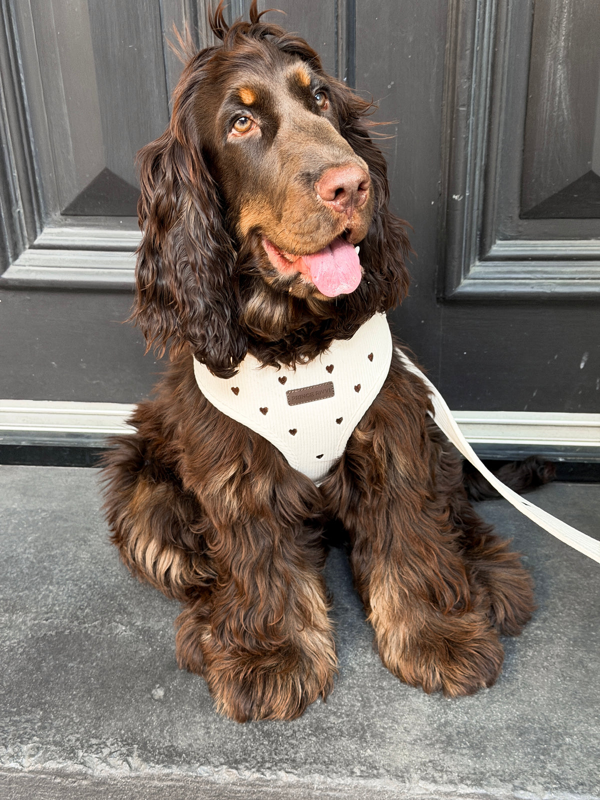 Cream Corduroy Adjustable Harness